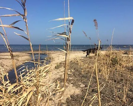 ファームステイ Molmare プツク